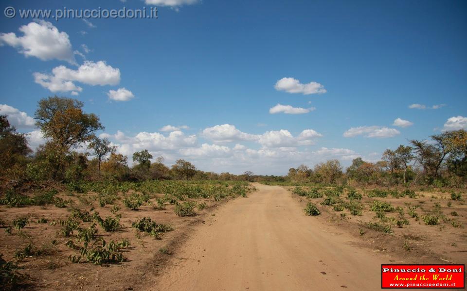 Ethiopia - Sulla strada per Turni - 31.jpg